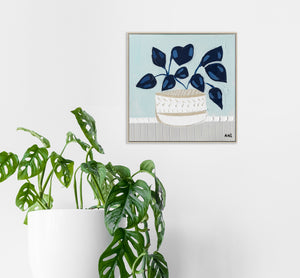 Blue Monstera